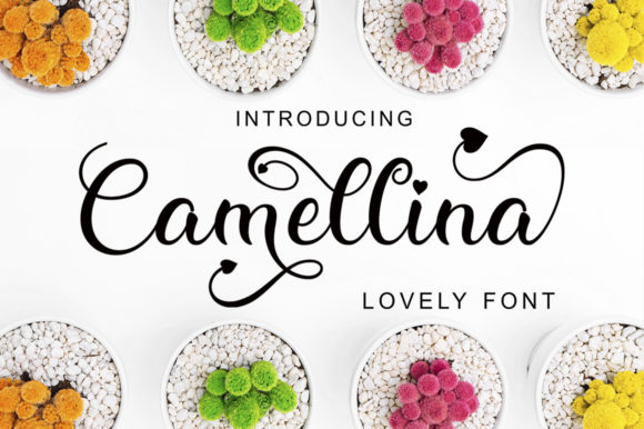 Camellina Script: A Beautiful and Versatile Font for Your Creative Projects