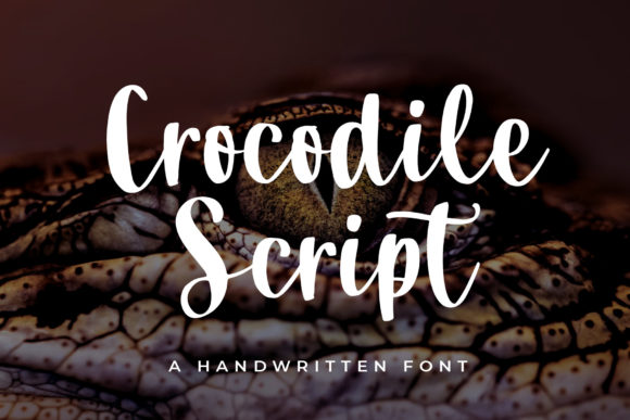 Crocodile Script: Elevate Your Design with Elegant Handwriting