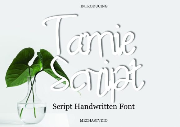 Tamie Script: A Versatile Font for Modern Design Needs
